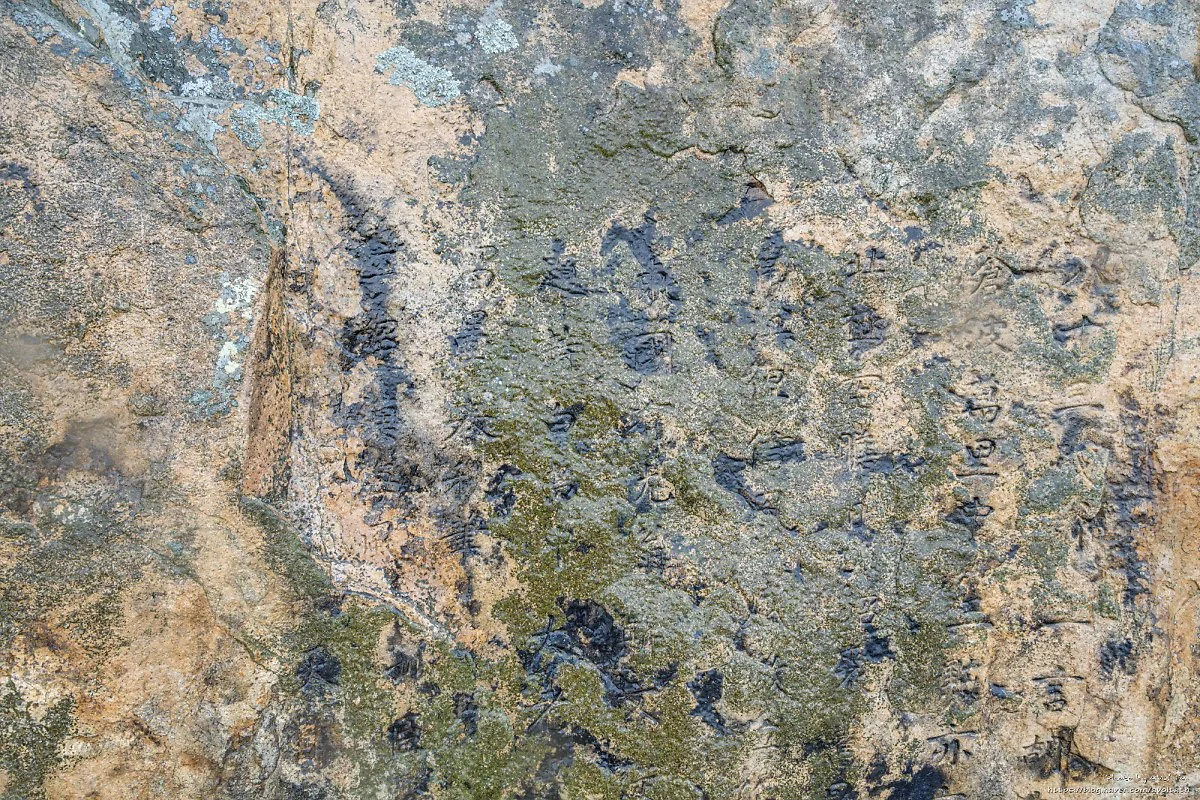 %EC%86%A1%EC%8B%9C%EC%97%B4_%EA%B8%80%EC%94%90%EB%B0%94%EC%9C%84_%281%29.jpg?type=w1200