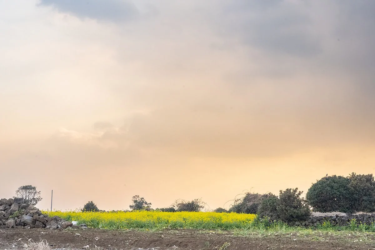 %EC%98%A4%EC%A1%B0%EB%A6%AC_%283%29.jpg?type=w1200