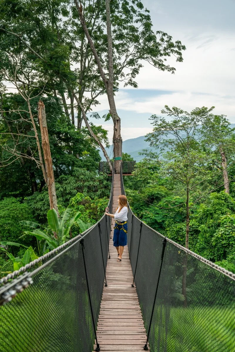 %ED%81%AC%EA%B8%B0%EB%B3%80%ED%99%98_%EB%8F%84%EC%9D%B4%EB%9A%B1%EB%A1%9C%EC%97%B4%EB%B9%8C%EB%9D%BC_%2820%29.jpg?type=w1200