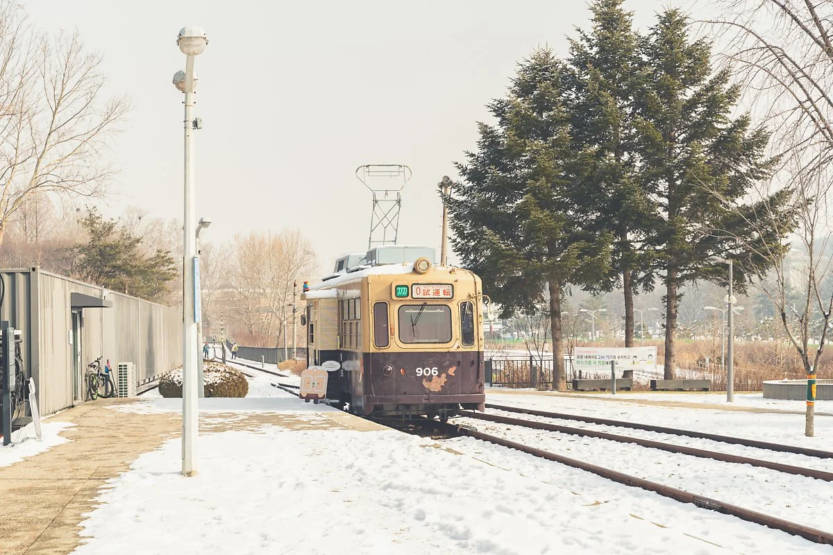 %EA%B2%BD%EC%B6%98%EC%84%A0%EC%88%B2%EA%B8%B8_%EA%B5%AC%ED%99%94%EB%9E%91%EB%8C%80%EC%97%AD%EC%82%AC_00005.jpg?type=w1200