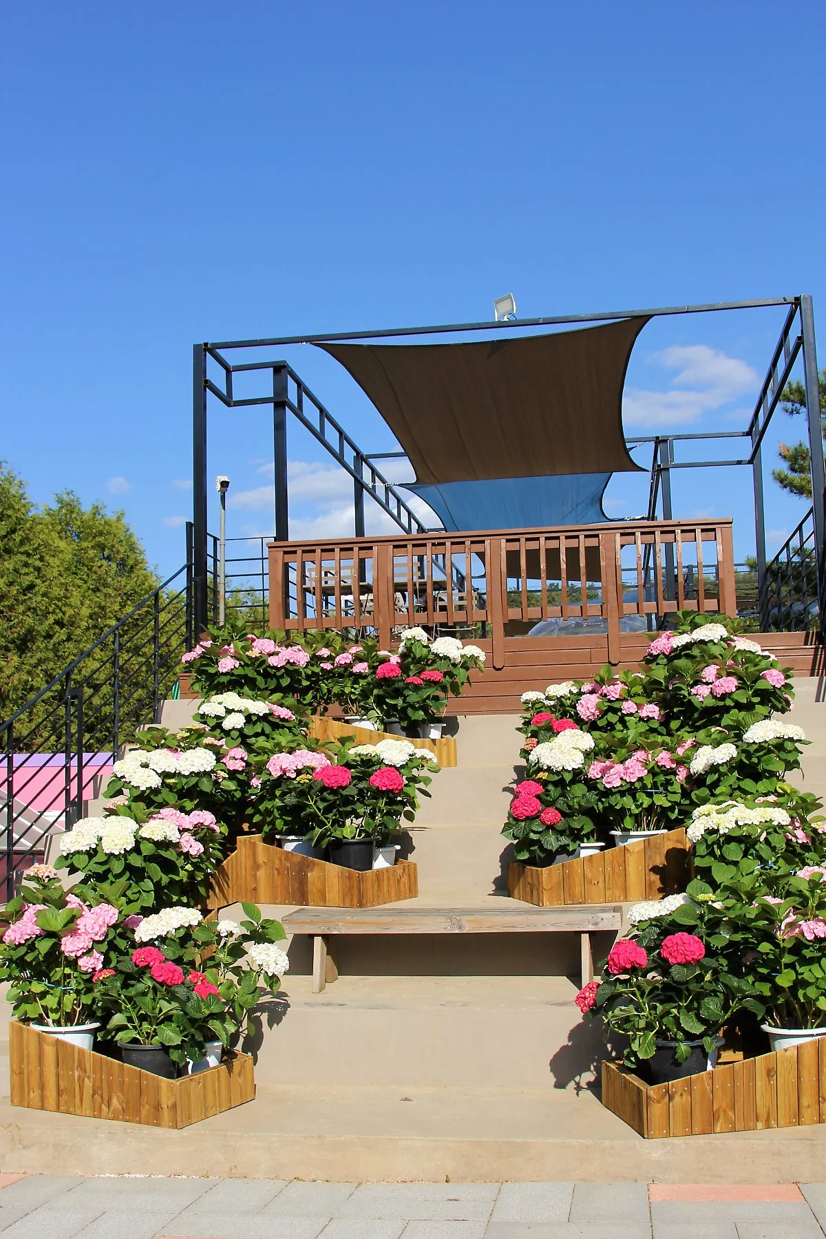 01%ED%8F%89%EA%B0%95%EB%9E%9C%EB%93%9C_%EA%B0%80%EB%93%9C%EB%84%88%EC%8A%A4_%EC%B9%B4%ED%8E%98_%281%29.JPG?type=w1200