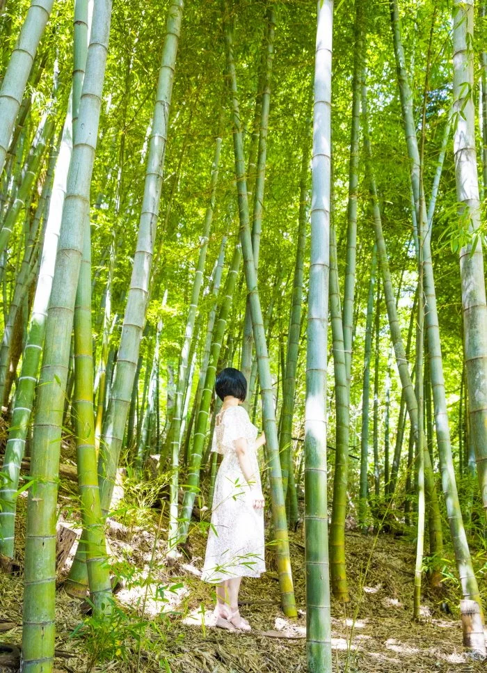 %ED%81%AC%EA%B8%B0%EB%B3%80%ED%99%98%EB%8F%99%EA%B5%AD%EC%82%AC%EB%8C%80%EB%82%98%EB%AC%B4%EC%88%B2%281%29.jpg?type=w1200