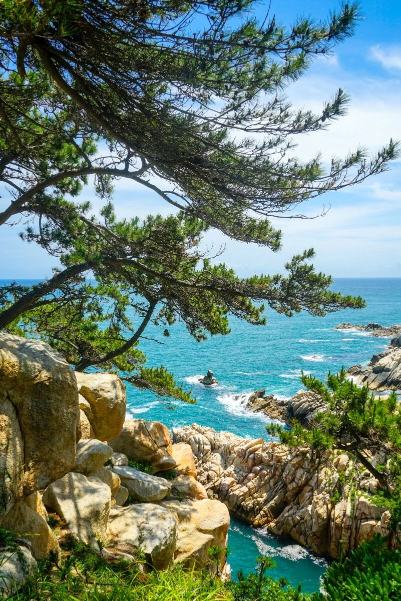 1._%EB%8C%80%EC%99%95%EC%95%94_%281%29.jpg?type=w1200