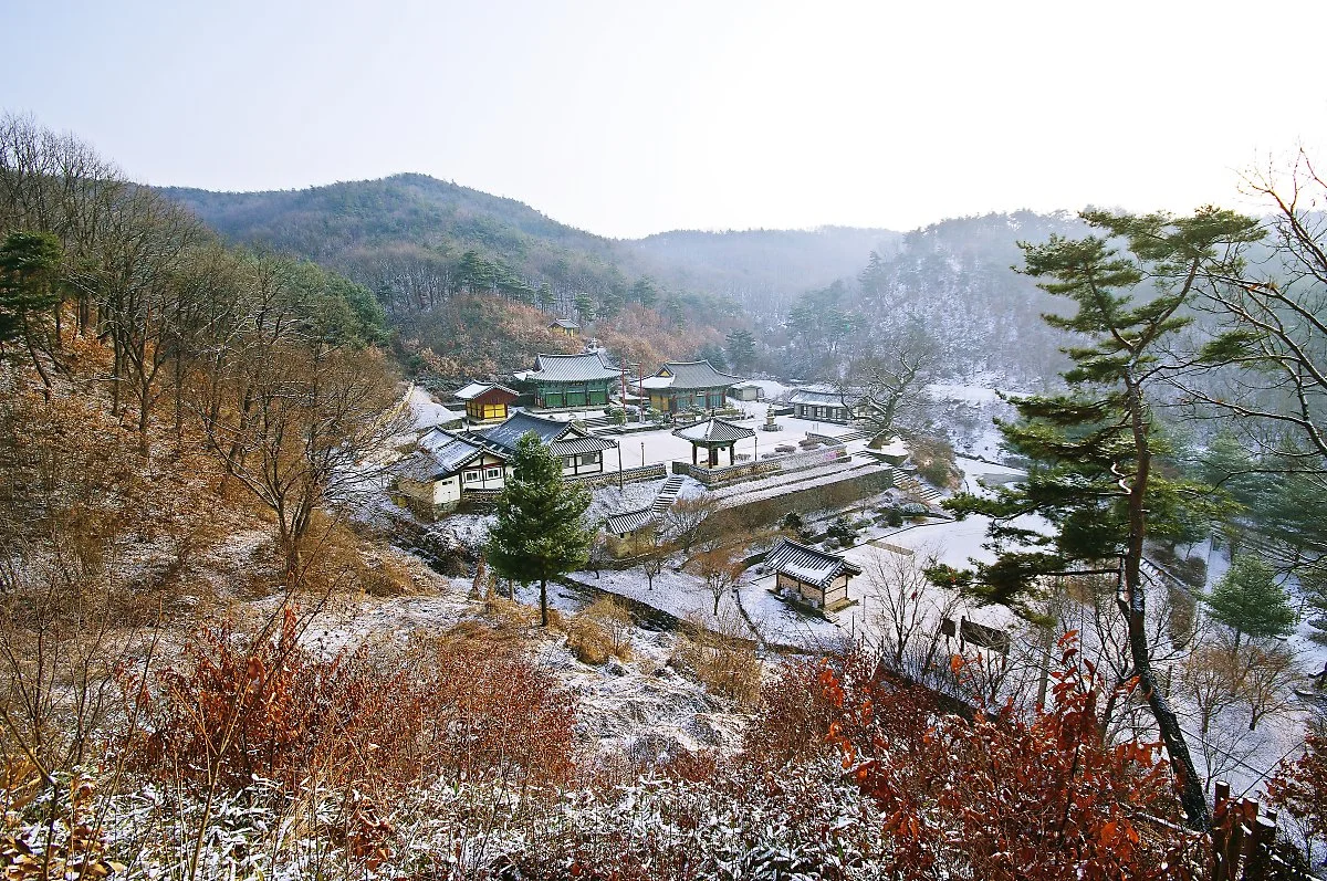 %EB%B9%84%EC%95%94%EC%82%AC.JPG?type=w1200