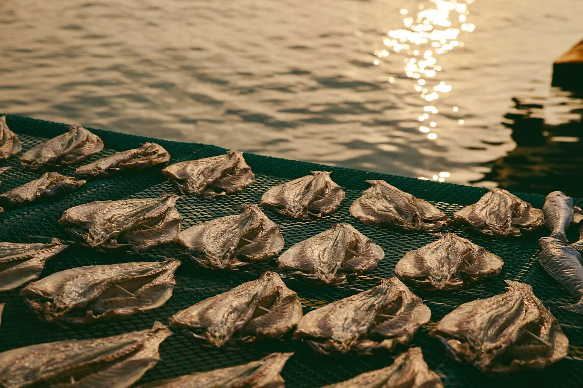 %EC%9C%84%ED%8C%90%EC%9E%A5%EA%B2%BD%EB%A7%A4%282%29.jpg?type=w1200