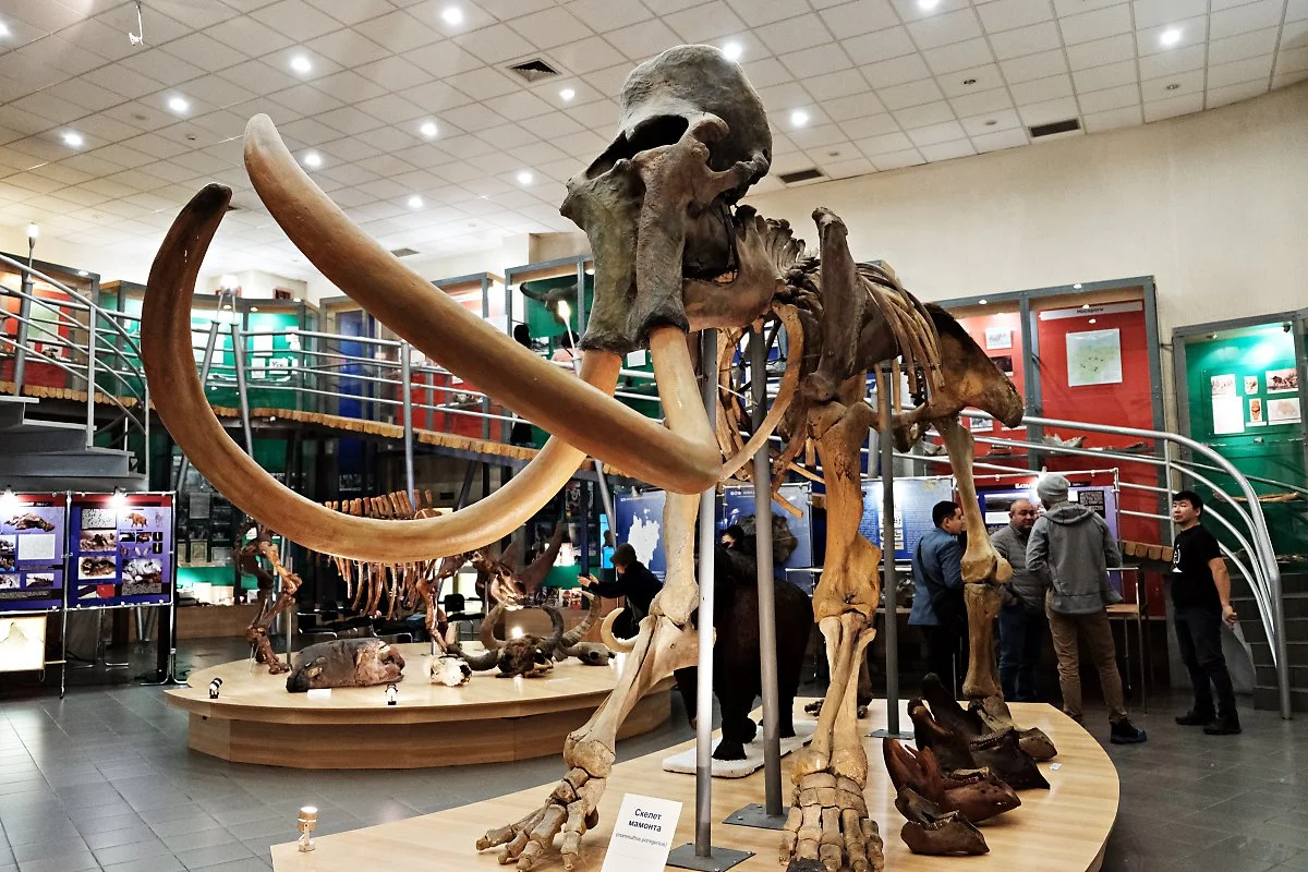 %EB%A7%98%EB%AA%A8%EC%8A%A4_%EB%B0%95%EB%AC%BC%EA%B4%80__%282%29.JPG?type=w1200