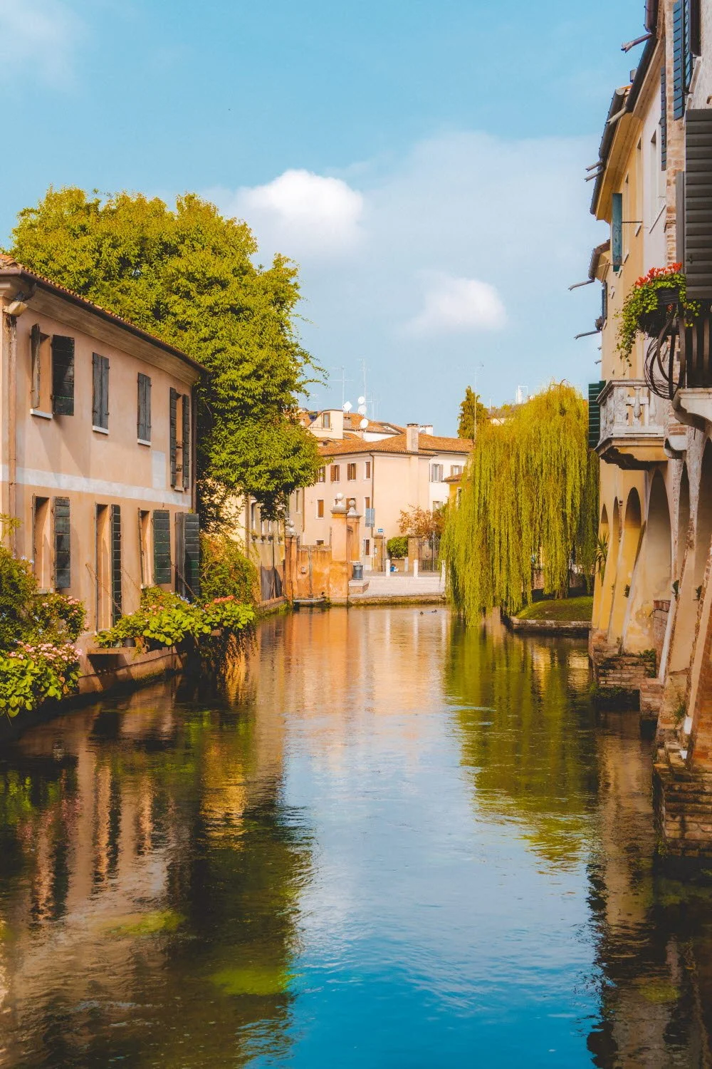 %ED%8A%B8%EB%A0%88%EB%B9%84%EC%86%8C_%281%29.jpg?typew1200