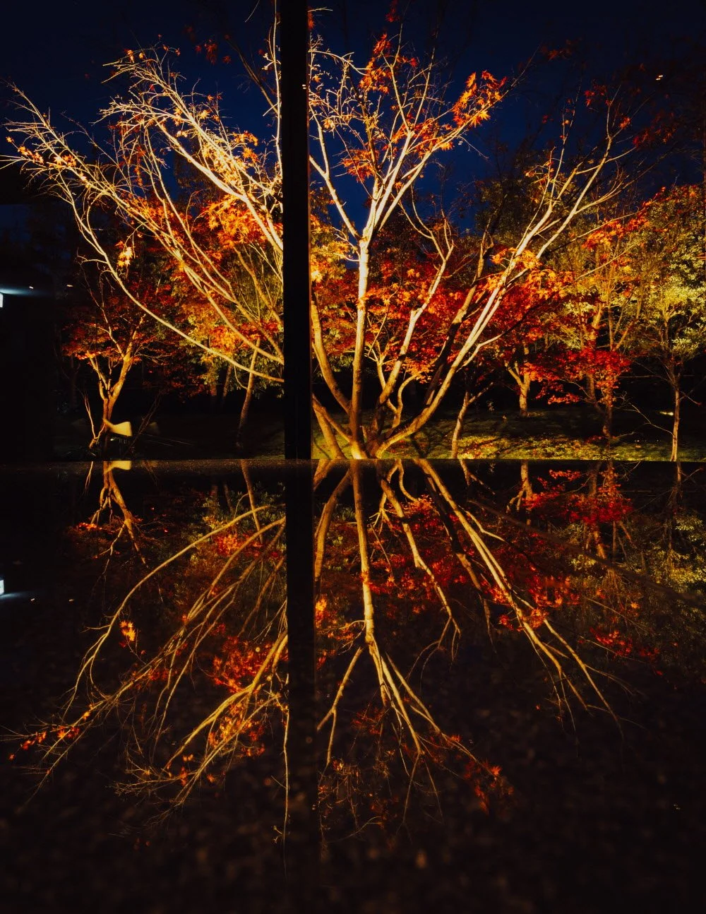 KHS_5576.jpg?type=w1200