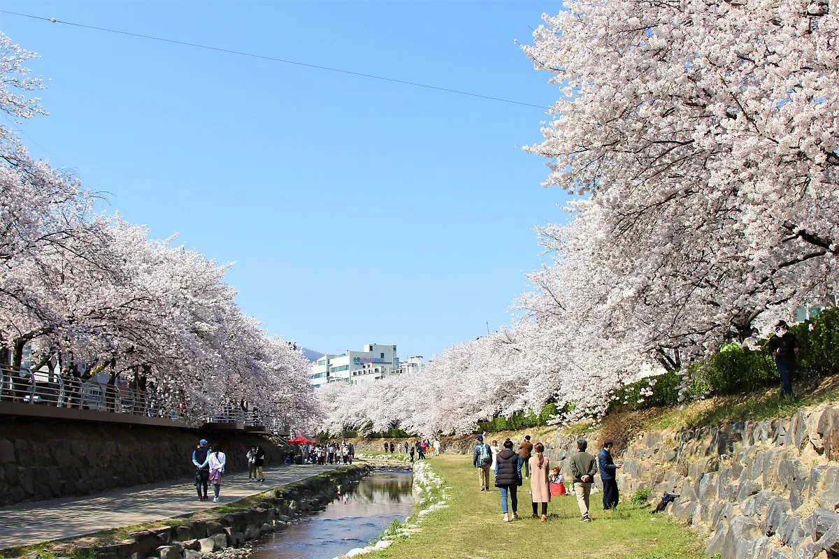 02%EA%B6%81%EA%B1%B0%EB%9E%91_%281%29.JPG?type=w1200