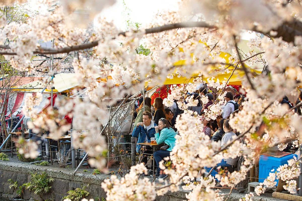 %EB%8F%84%EC%BF%84_%EC%9A%B0%EC%97%90%EB%85%B8_%EA%B3%B5%EC%9B%90_1.jpg?type=w1200