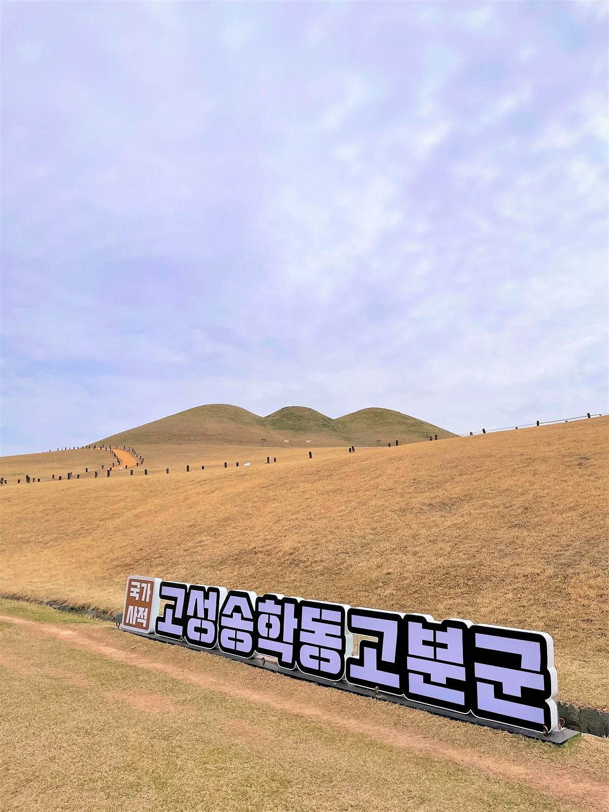 %EA%B3%A0%EC%84%B1%EC%86%A1%ED%95%99%EB%8F%99%EA%B3%A0%EB%B6%84%EA%B5%B0_%283%29.jpg?type=w1200