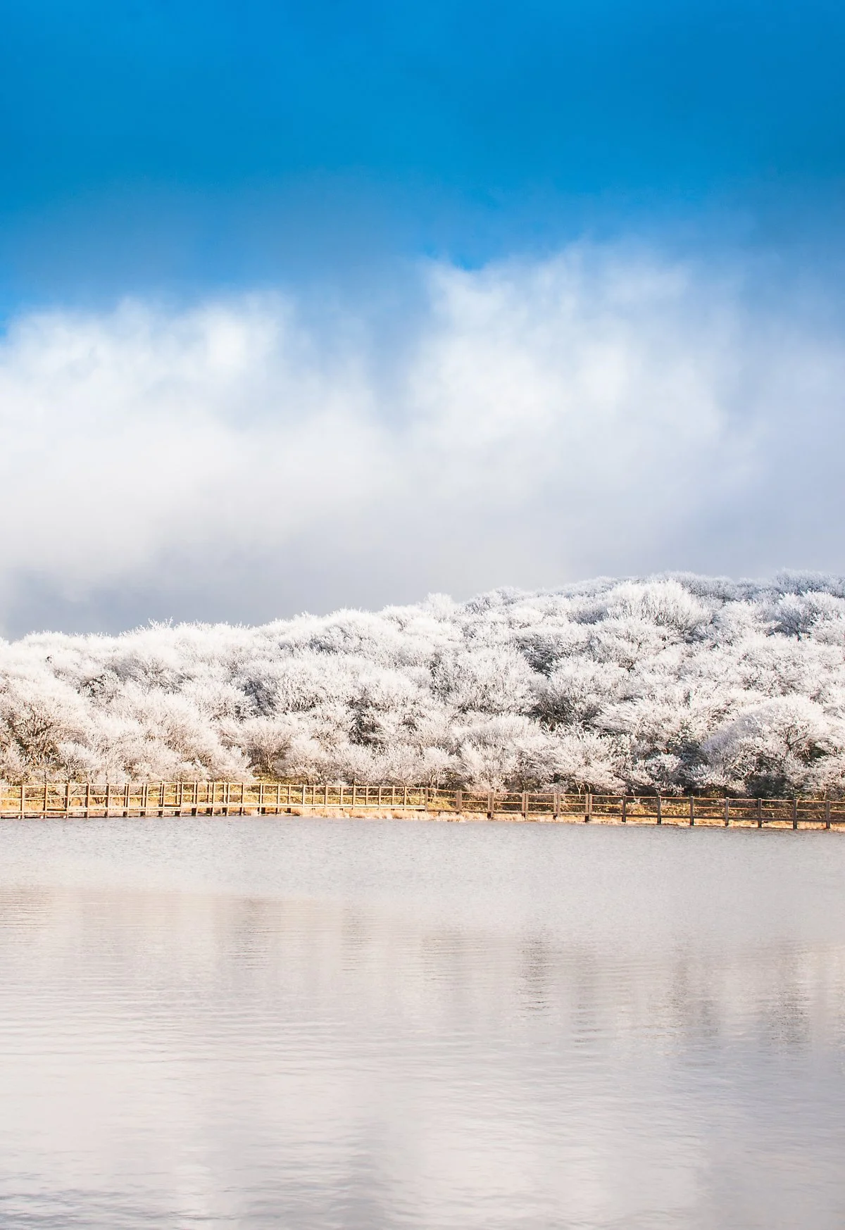 %EC%82%AC%EB%9D%BC%EC%98%A4%EB%A6%84_001.jpg?type=w1200