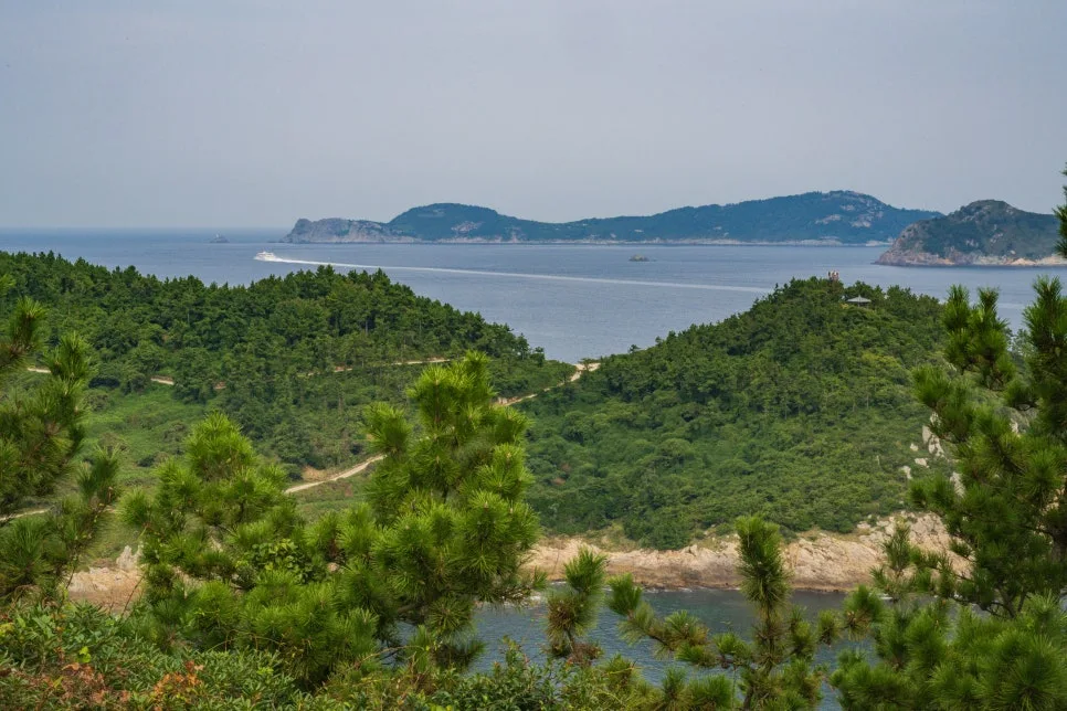 %ED%95%98%EC%B6%94%EC%9E%90_%EC%8B%A0%EB%8C%80%EC%82%B0.jpg?type=w966