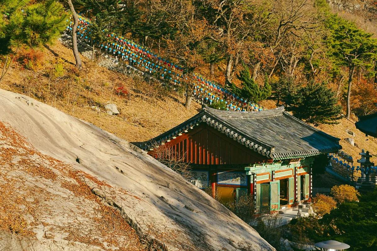 %EB%B3%B4%EB%AC%B8%EC%82%AC%283%29.jpg?type=w1200