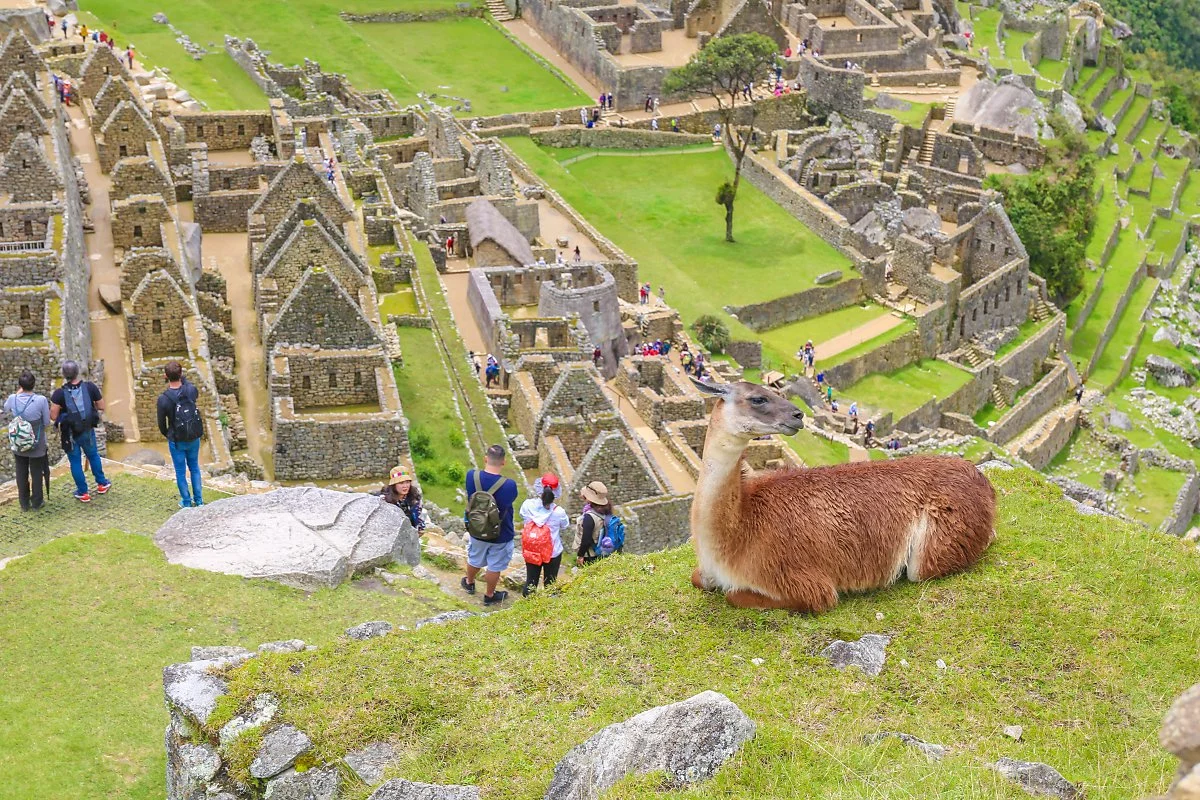 %EB%A7%88%EC%B6%94%ED%94%BD%EC%B6%94_%284%29.jpg?type=w1200