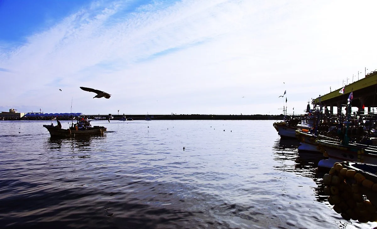 %EC%A3%BC%EB%AC%B8%EC%A7%84%ED%95%AD._%EB%B6%84%EC%A3%BC%ED%95%9C_%ED%95%AD%EA%B5%AC%EC%9D%98_%EB%AA%A8%EC%8A%B5%EC%97%90%EC%84%9C_%ED%99%9C%EB%A0%A5%EC%9D%84_%EC%B0%BE%EB%8A%94%EB%8B%A4.JPG?type=w1200