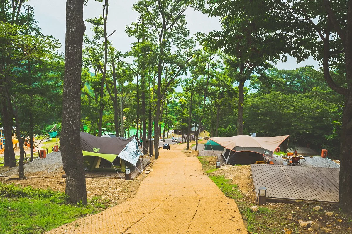 %EB%8D%95%EC%82%B0_%EA%B5%AD%EB%AF%BC%EC%97%AC%EA%B0%80_%EC%BA%A0%ED%95%91%EC%9E%A5_%285%29.jpg?type=w1200