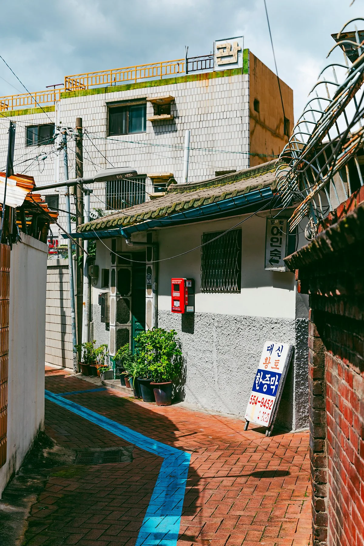 %EB%8C%80%EA%B5%AC_%EB%8C%80%EA%B5%AC%EC%9D%98_%EC%98%A4%EB%9E%98%EB%90%9C_%EA%B3%A8%EB%AA%A9.jpg?type=w1200