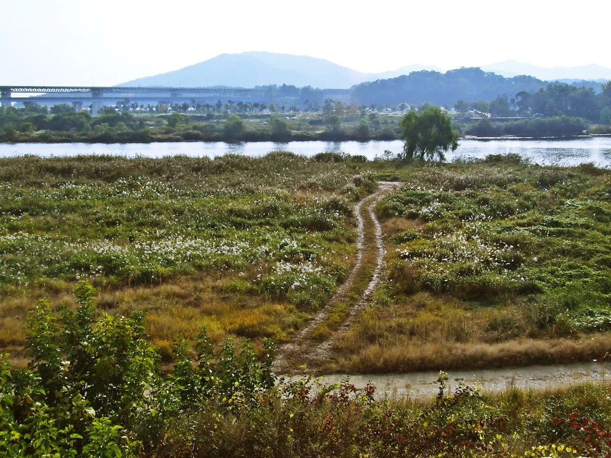 %EB%AA%A9%EA%B3%84%EB%82%98%EB%A3%A8%EA%B0%80_%EC%9E%88%EB%8D%98_%EC%9E%90%EB%A6%AC.JPG?type=w1200