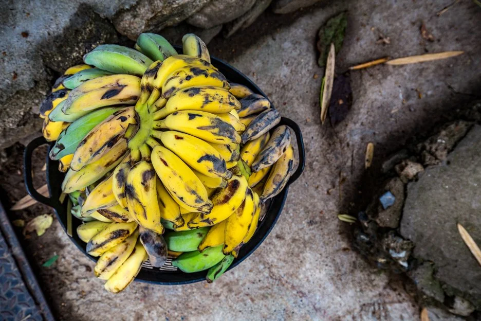 %EC%B9%98%EC%95%99%EB%A7%88%EC%9D%B4-3.jpg?type=w1200