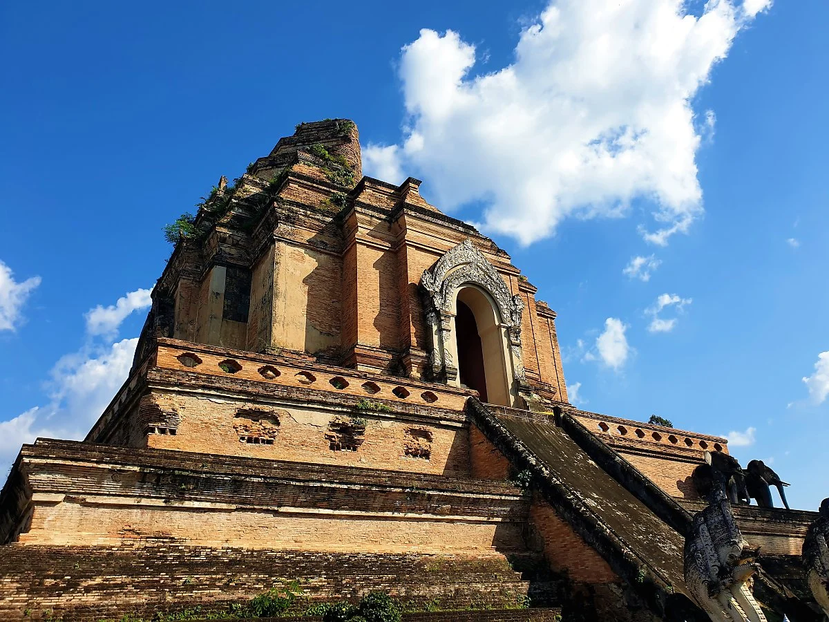 03%EC%99%93_%EC%A9%A8%EB%94%94%EB%A3%A8%EC%95%99_%281%29.jpg?type=w1200