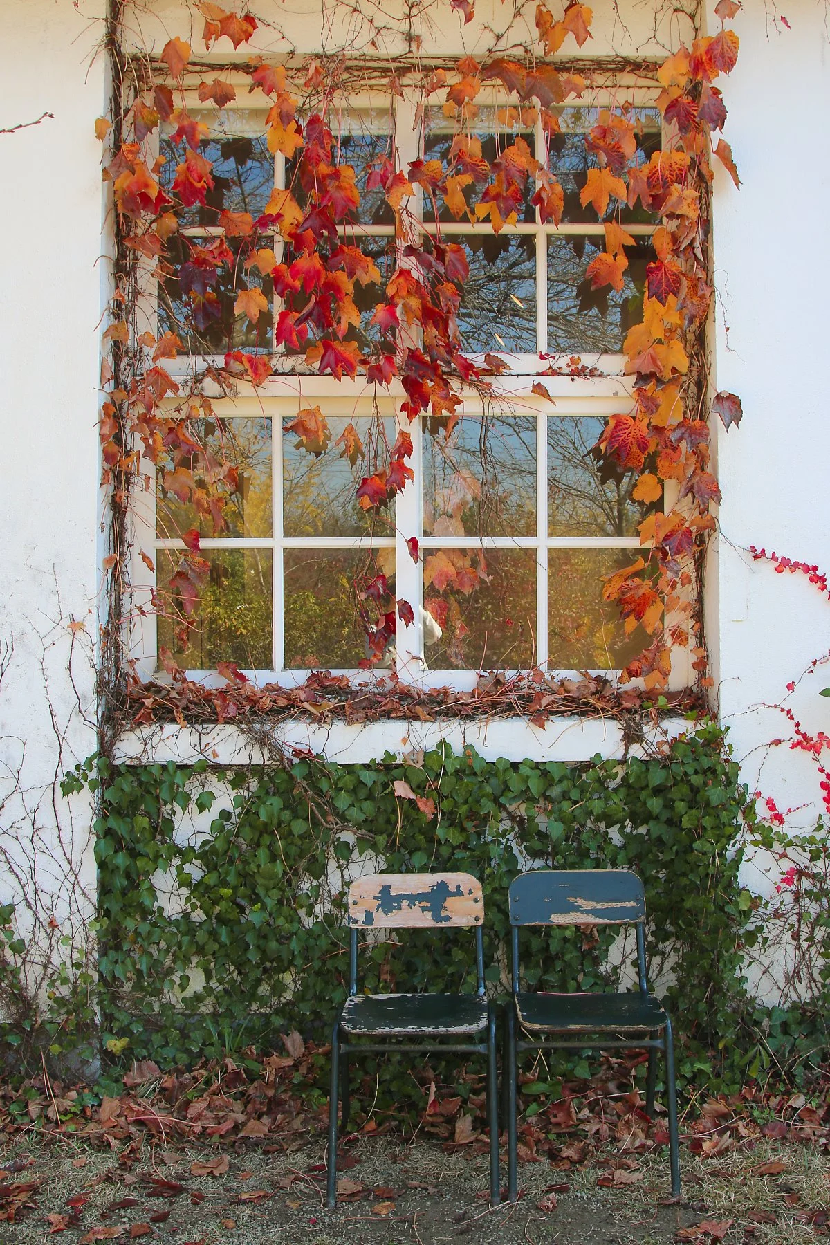 5_%EC%95%84%EB%AF%B8%EB%AF%B8%EC%88%A0%EA%B4%80_%284%29.jpg?type=w1200