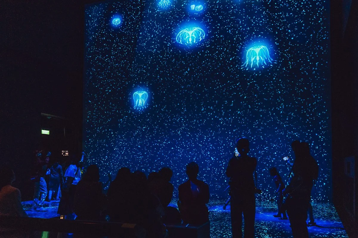 %EA%B0%80%EB%93%A0%EC%8A%A4_%EB%B0%94%EC%9D%B4_%EB%8D%94_%EB%B2%A0%EC%9D%B4_%2826%29.jpg?type=w1200