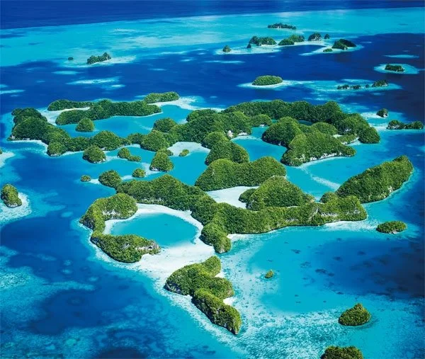 21092_4950_850.jpg?type=w1200