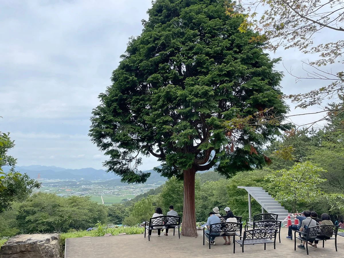 %EB%A7%8C%ED%99%94%EB%B0%A9%EC%B4%88_%282%29.JPG?type=w1200