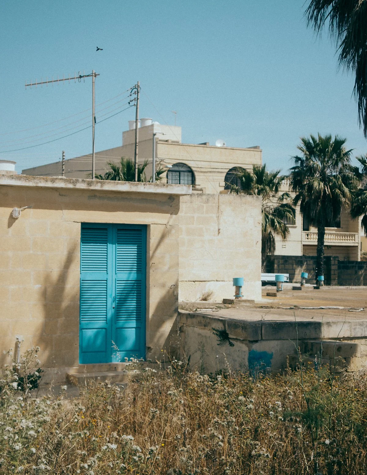 %EB%AA%B0%ED%83%80-42.JPG?type=w1200