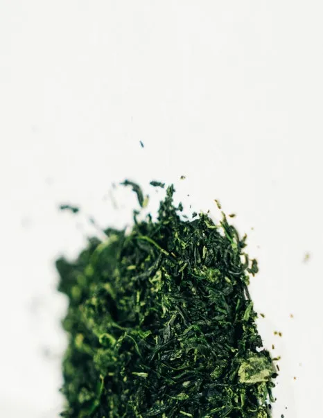 20250113-DSC04430-2.jpg?type=w466