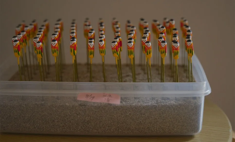 09_DSC_5138_final_EXP.jpg?type=w966