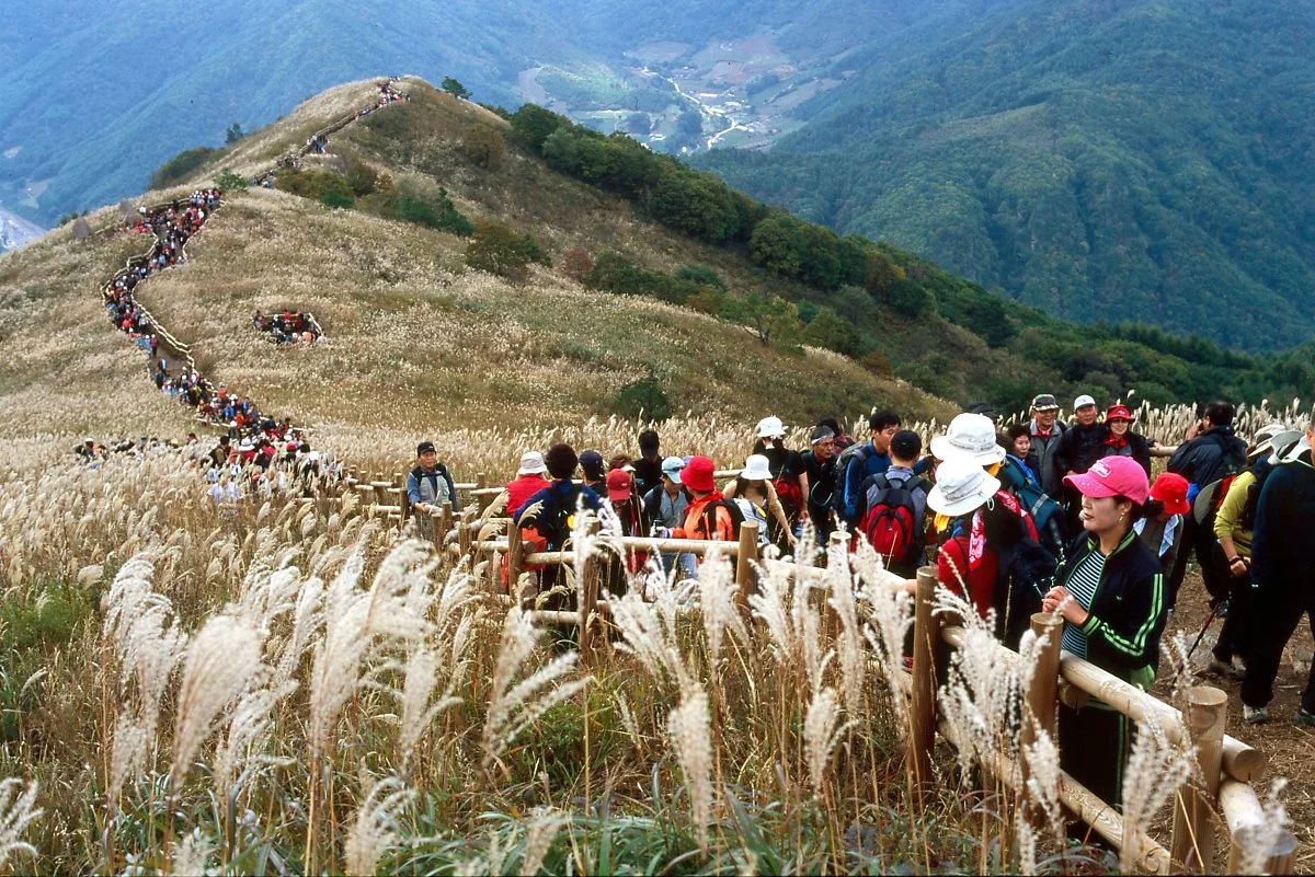 %EC%A0%95%EC%84%A0%EB%AF%BC%EB%91%A5%EC%82%B0%EC%96%B5%EC%83%88%EC%B6%95%EC%A0%9C_%281%29.jpg?type=w1200