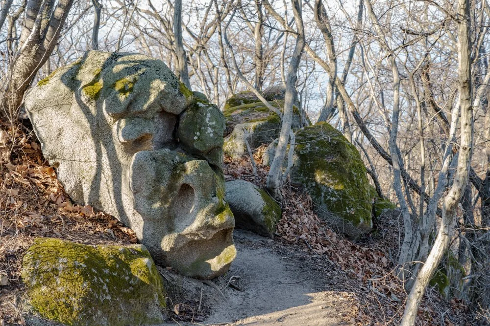 %EB%82%99%EA%B0%80%EC%82%B0_%EC%82%B0%EA%B8%B8_%281%29.jpg?type=w1200