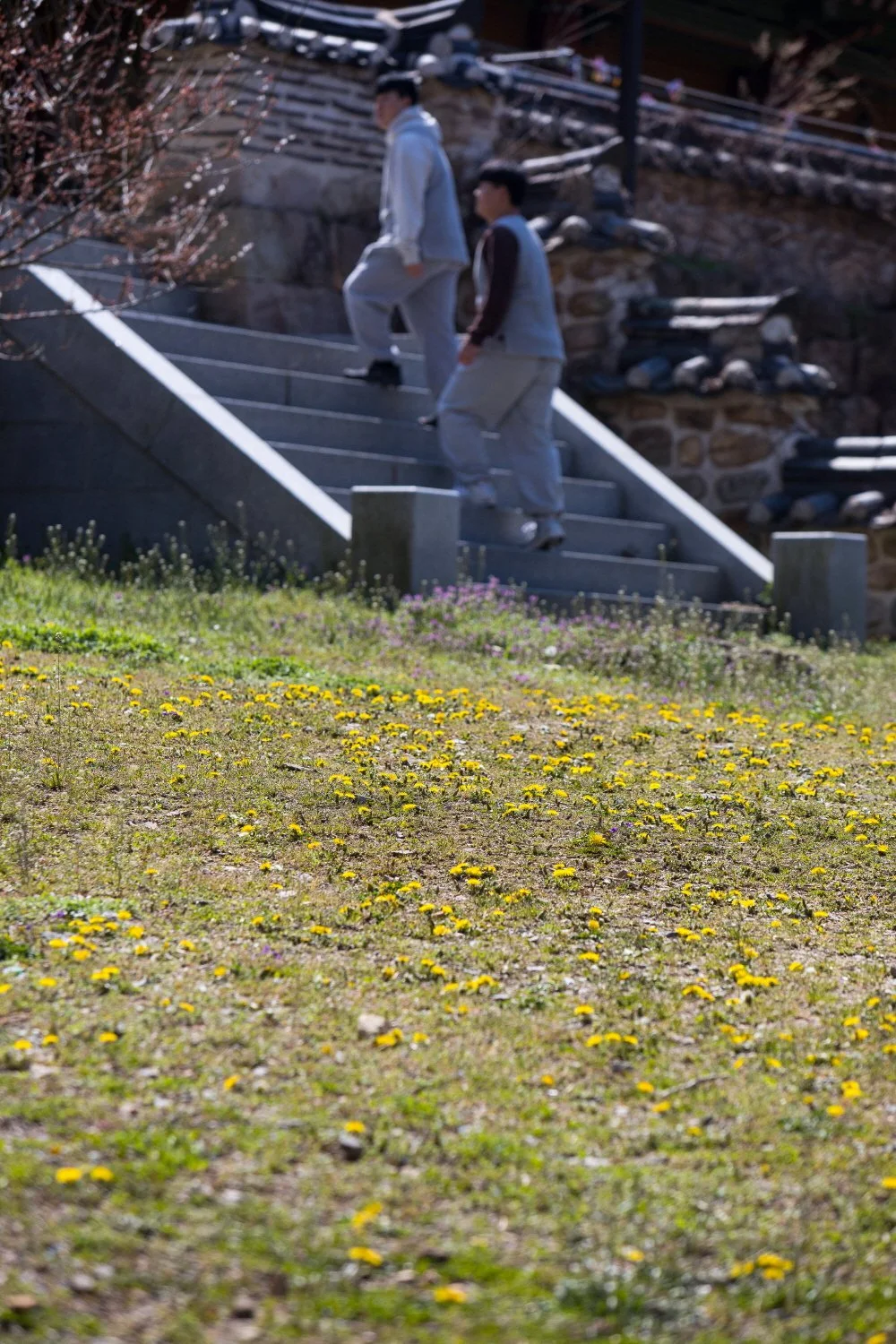 %EC%9A%94%EA%B0%80_%286%29.jpg?type=w1200