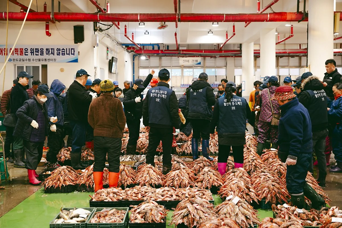 %EC%9C%84%ED%8C%90%EC%9E%A5%EA%B2%BD%EB%A7%A4%281%29.jpg?type=w1200