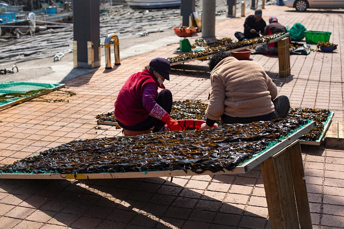 d_%EC%88%98%EB%A0%B4%EB%B0%A9%ED%8C%8C%EC%A0%9C_2.jpg?type=w1200