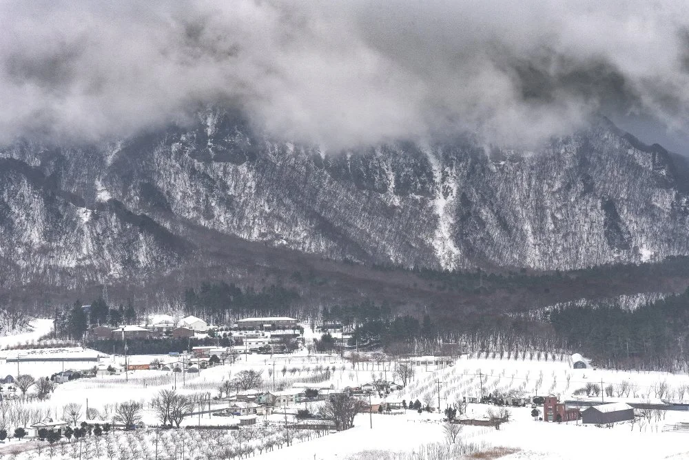 %ED%81%AC%EA%B8%B0%EB%B3%80%ED%99%98%EB%88%88%EB%8D%AE%ED%9E%8C_%EB%82%98%EB%A6%AC%EB%A7%88%EC%9D%84.JPG?type=w1200