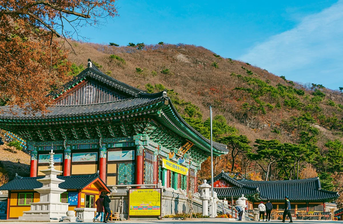 %EB%B3%B4%EB%AC%B8%EC%82%AC%281%29.jpg?type=w1200