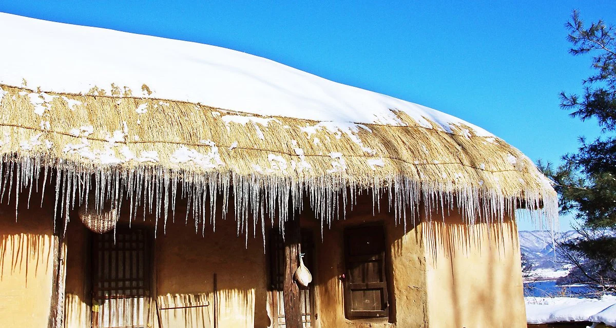 %EC%B4%88%EA%B0%80%EC%A7%80%EB%B6%95%EC%97%90_%EB%A7%A4%EB%8B%AC%EB%A6%B0_%EA%B3%A0%EB%93%9C%EB%A6%84._%EC%98%9B%EB%82%A0%EC%97%90%EB%8A%94_%EA%B3%A0%EB%93%9C%EB%A6%84%EB%8F%84_%EB%94%B0%EC%84%9C_%EB%A8%B9%EC%97%88%EB%8B%A4..JPG?type=w1200