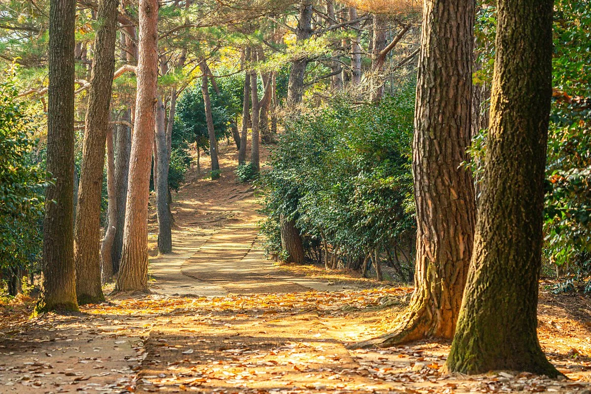 %EC%9D%B4%EC%88%9C%EC%8B%A0%EC%88%9C%EA%B5%AD%EA%B3%B5%EC%9B%90_001.jpg?type=w1200