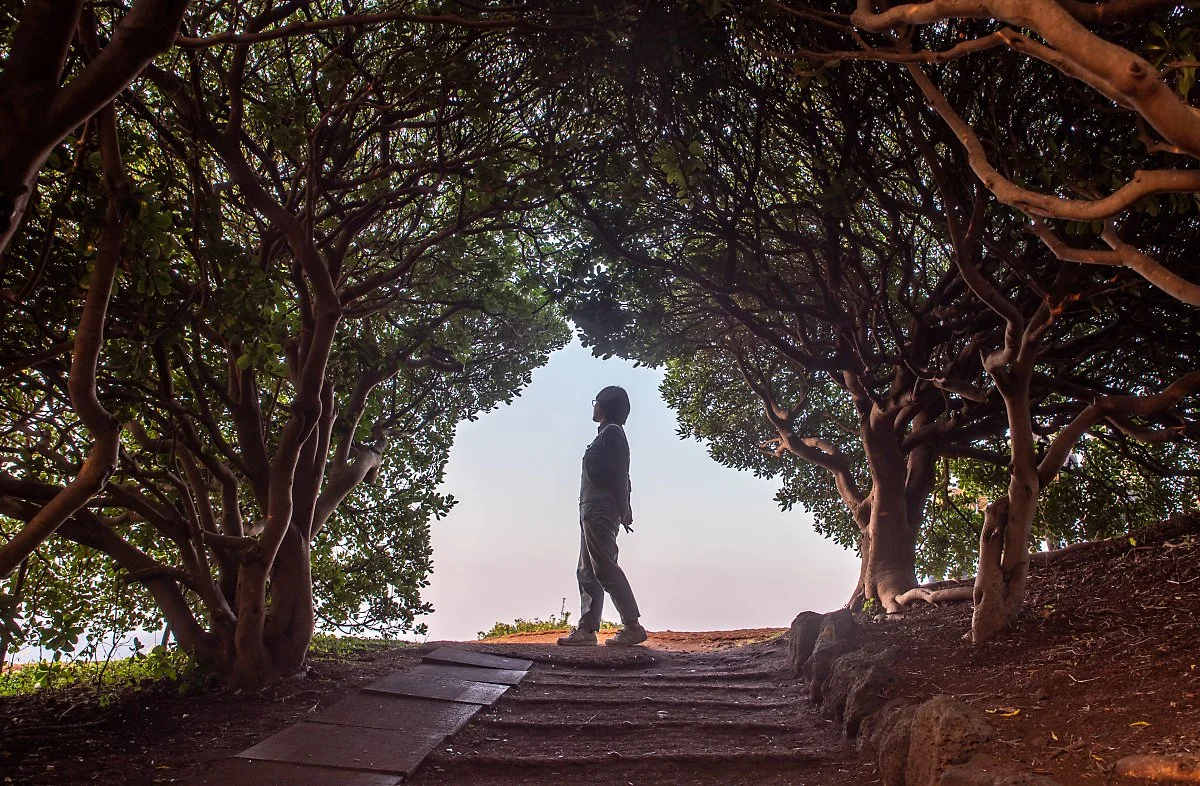 %EB%8F%84%EB%91%90%EB%B4%89_001.jpg?type=w1200