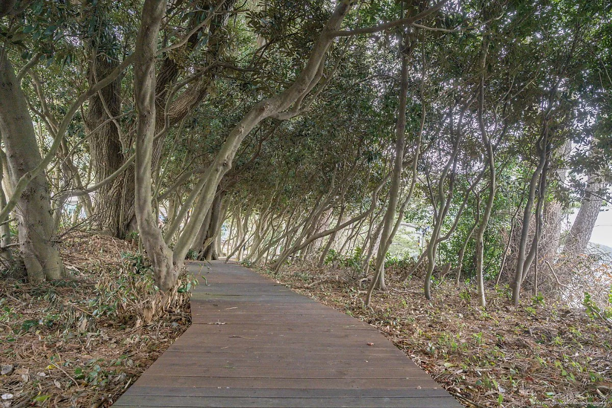 %EC%98%88%EC%86%A1%EB%A6%AC%EA%B0%AF%EB%8F%8C%ED%95%B4%EB%B3%80_%283%29.jpg?type=w1200