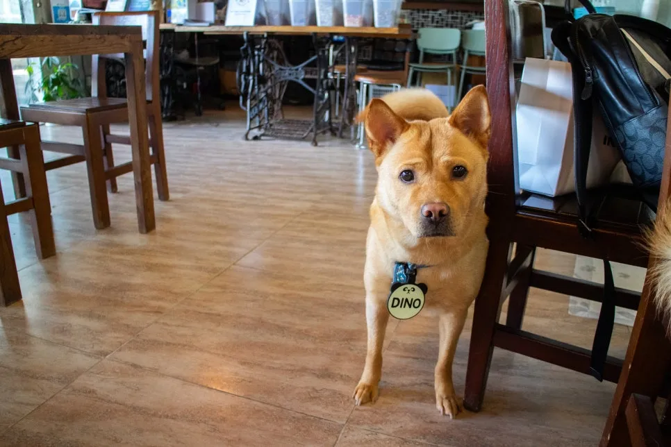 %EC%86%94%EC%BB%A4%EB%AF%B8%ED%8B%B0_(2).jpg?type=w966