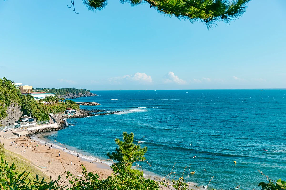 d_%EC%A4%91%EB%AC%B8%EC%83%89%EB%8B%AC%ED%95%B4%EC%88%98%EC%9A%95%EC%9E%A5.jpg?type=w1200