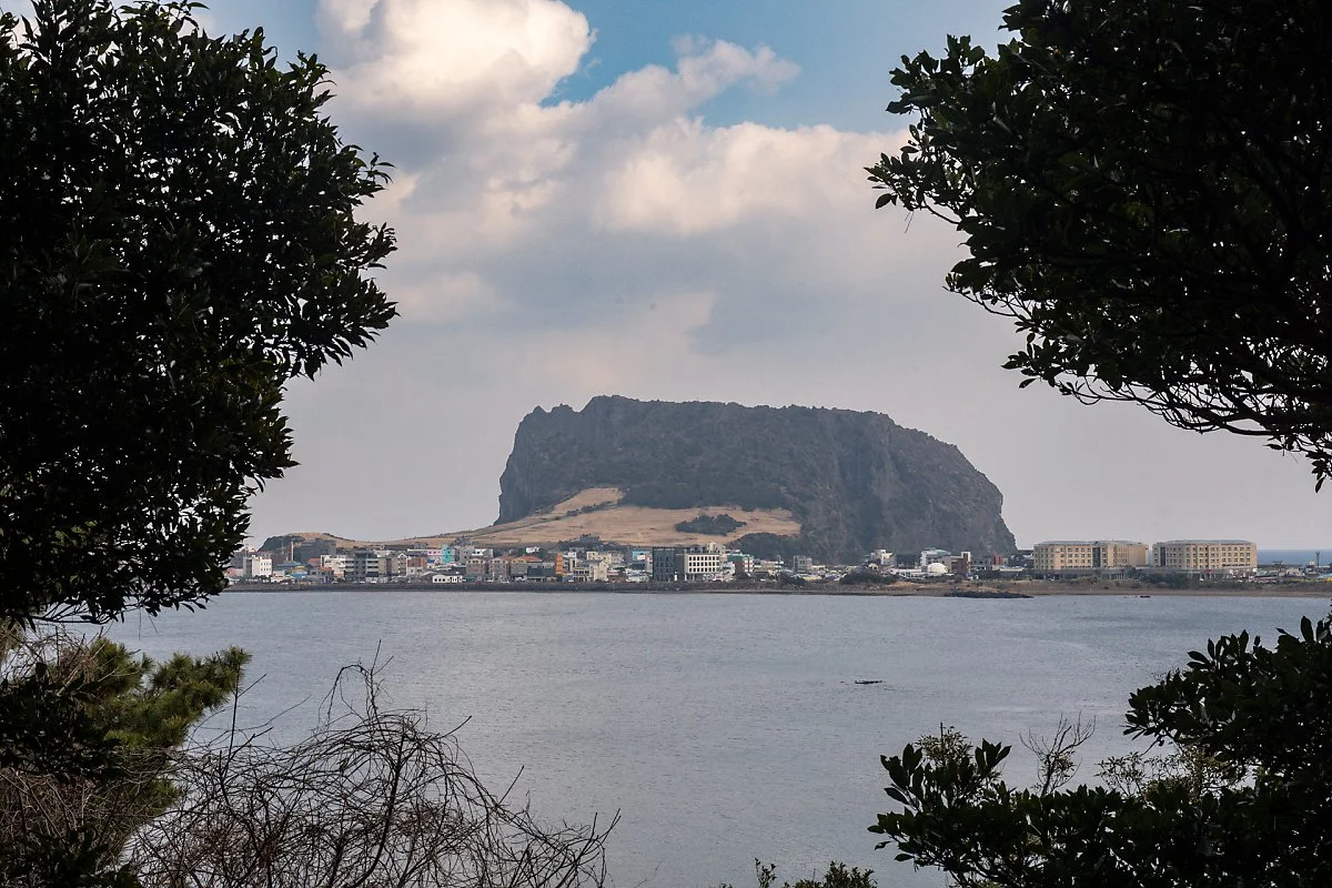 %EC%98%A4%EC%A1%B0%EB%A6%AC_%EC%8B%9D%EC%82%B0%EB%B4%89%EC%A0%95%EC%83%81%EC%97%90%EC%84%9C_%EB%B0%94%EB%9D%BC%EB%B3%B8_%EC%9D%BC%EC%B6%9C%EB%B4%89.jpg?type=w1200