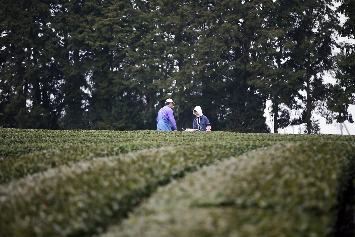 %EC%9A%B0%EB%A0%88%EC%8B%9C%EB%85%B8%EC%98%AC%EB%A0%88_%EA%B9%80%EC%A7%84%EC%84%9D.jpg?type=w1200