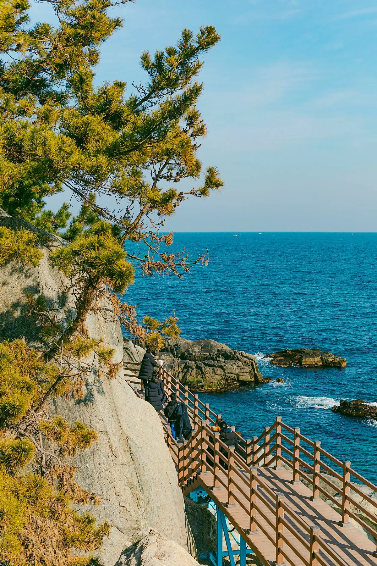 d_%EC%99%B8%EC%98%B9%EC%B9%98%EB%B0%94%EB%8B%A4%ED%96%A5%EA%B8%B0%EB%A1%9C_2.jpg?type=w1200