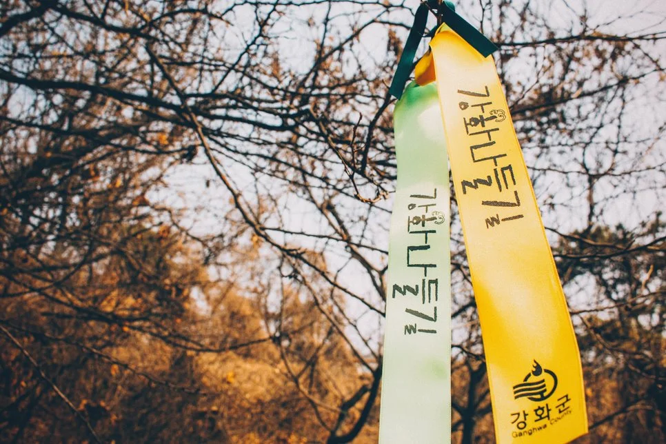 %EA%B0%95%ED%99%94%EB%8F%84_%EC%B6%95%EC%86%8C-35.jpg?type=w1200