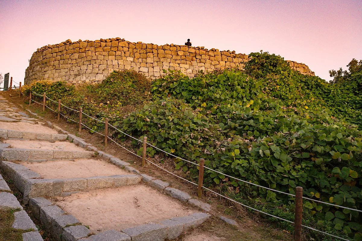 d_%EB%B6%84%EC%98%A4%EB%A6%AC%EB%8F%88%EB%8C%80_1.jpg?type=w1200